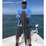 Images of Sebastian Inlet Fishing Charters