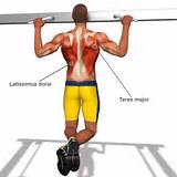 Muscle Up Strengthening Photos