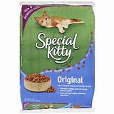 Special Kitty Cat Food Review Images