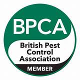 Pest Control Services East London Pictures