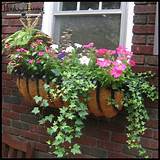 Hay Rack Window Planters Photos