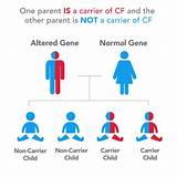 Cystic Fibrosis Gene Carrier