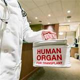 Myths About Organ Donation
