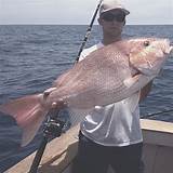 Deep Sea Fishing Charters In St Augustine Pictures