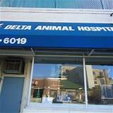 Delta Animal Hospital Chicago Il