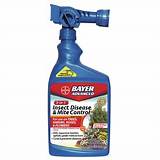 Lowes Lawn Insect Control Pictures