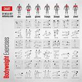 Weight Training Exercises Muscle Groups Pictures