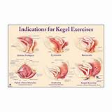 Kegel Pelvic Floor Muscle Exercises