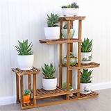 Plant Display Rack Pictures
