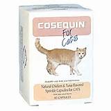 Photos of Cosequin For Cats Side Effects