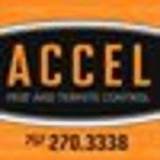 Accel Pest And Termite Control Images