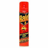 What Is In Raid Cockroach Killer Images