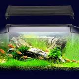 Pictures of Led Light Bar Underwater