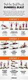 Fitness Workout With Weights Pictures