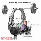 Pictures of What Are The Best Weight Training Exercises