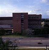 University Of Florida Shands Hospital