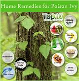 Images of Home Remedies Poison Ivy Blisters