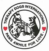 Therapy Dogs International Testing Requirements