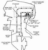 Images of Yamaha Outboard Cooling System Diagram