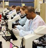 Pictures of Medical Lab Technician Certification