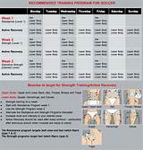 Images of Strength And Conditioning Exercises For Soccer