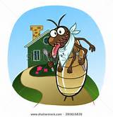 Pictures of Cartoon Termite