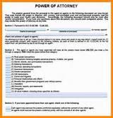 Florida Durable Power Of Attorney Pdf Pictures