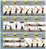 Trx Exercises Training Pictures