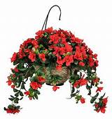 Pictures of Beautiful Hanging Flower Baskets