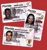 Commercial License Florida Photos