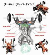 Bodybuilding Exercises Upper Chest Images