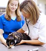 Photos of Matthews Veterinary Clinic