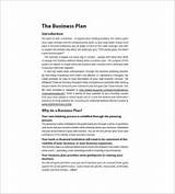 Internet Cafe Business Plan Template Pdf Pictures