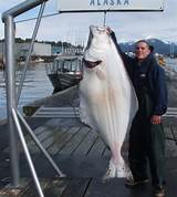 Photos of Halibut Fishing Tips Alaska