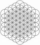 Flower Of Life Pictures