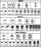 Military Rank Chart In Order Images