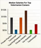 Pictures of Average Veterinary Salary By State