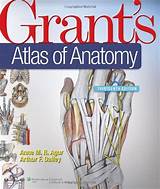 Pictures of Clinically Oriented Anatomy Pdf