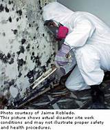 Photos of Mold Remediation Work Plan