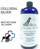 Pictures of Colloidal Silver And Teeth