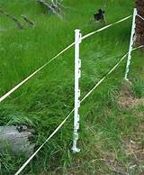 Electric Fence Animals Images