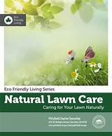 Eco Friendly Lawn Service