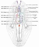 Pictures of Electrical Energy Human Body
