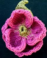 Images of Knitted Flower Pattern