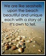 Seashell Quotes Images