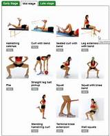 Hamstring Muscle Exercise Photos