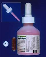 Images of How To Give Dog Syringe Medication