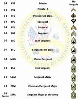 Us Army Officer Ranks And Pay Images