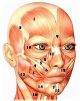 Pictures of Face Muscle Exercise