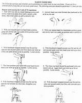 Upper Limb Muscle Strengthening Exercises Images